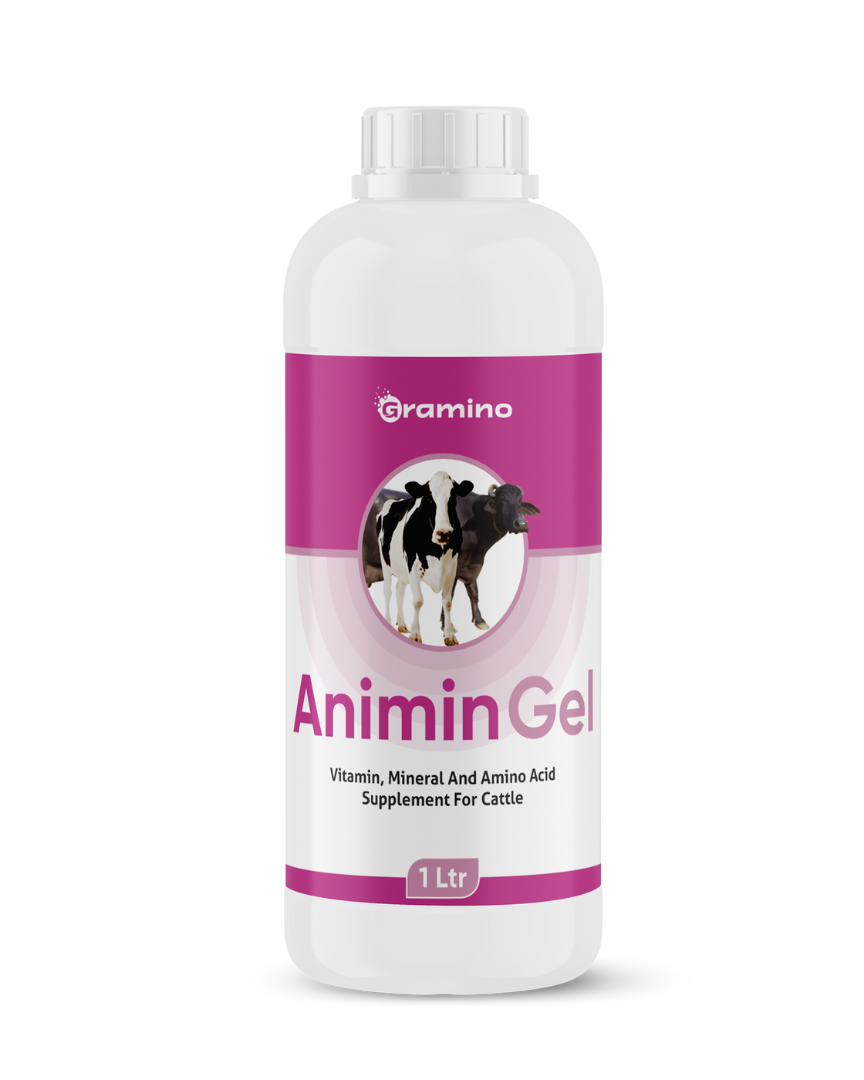 Animin gel