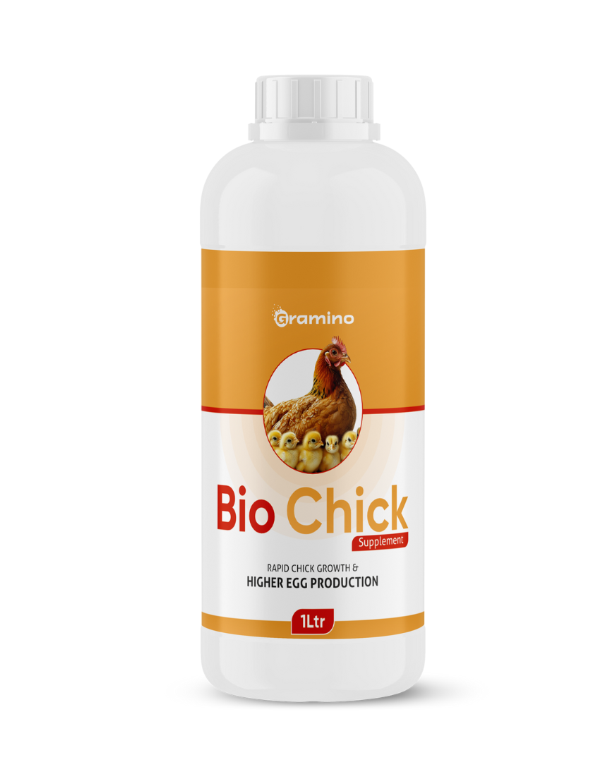 Bio chick