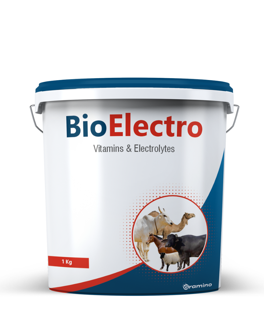 Bio electro