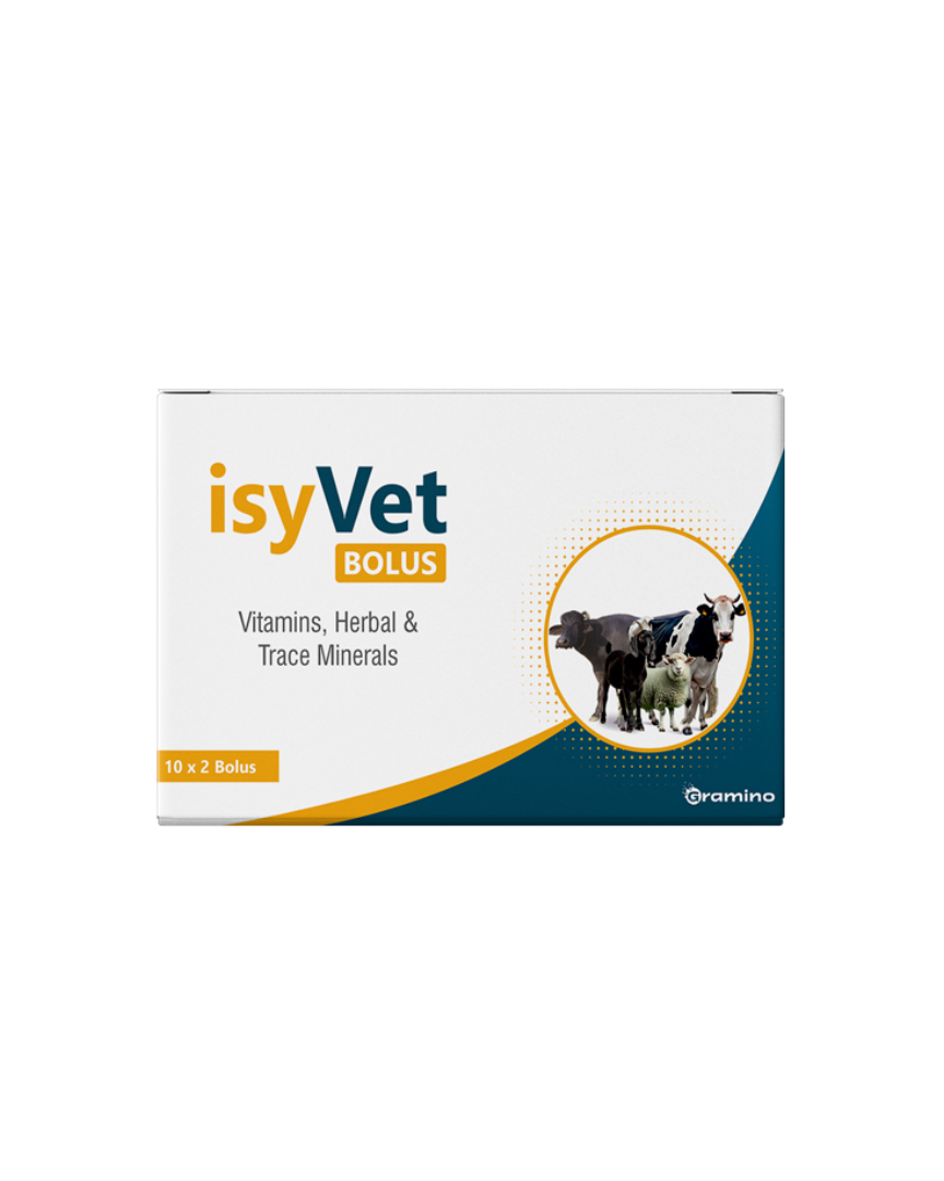 Isyvet bolus