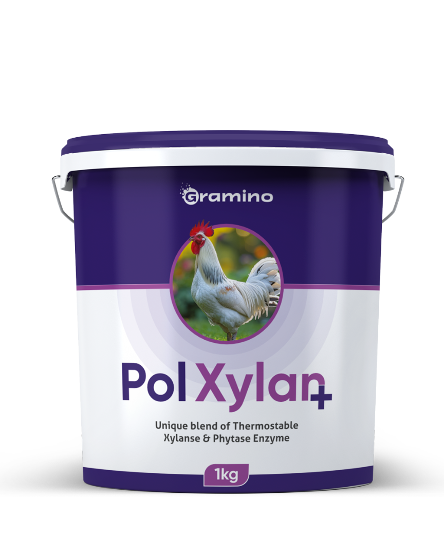 PolXylan Plus