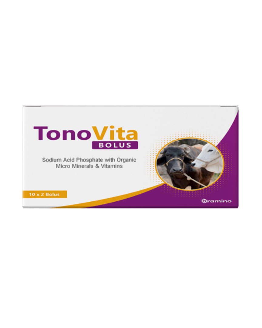 Tono vita bolus